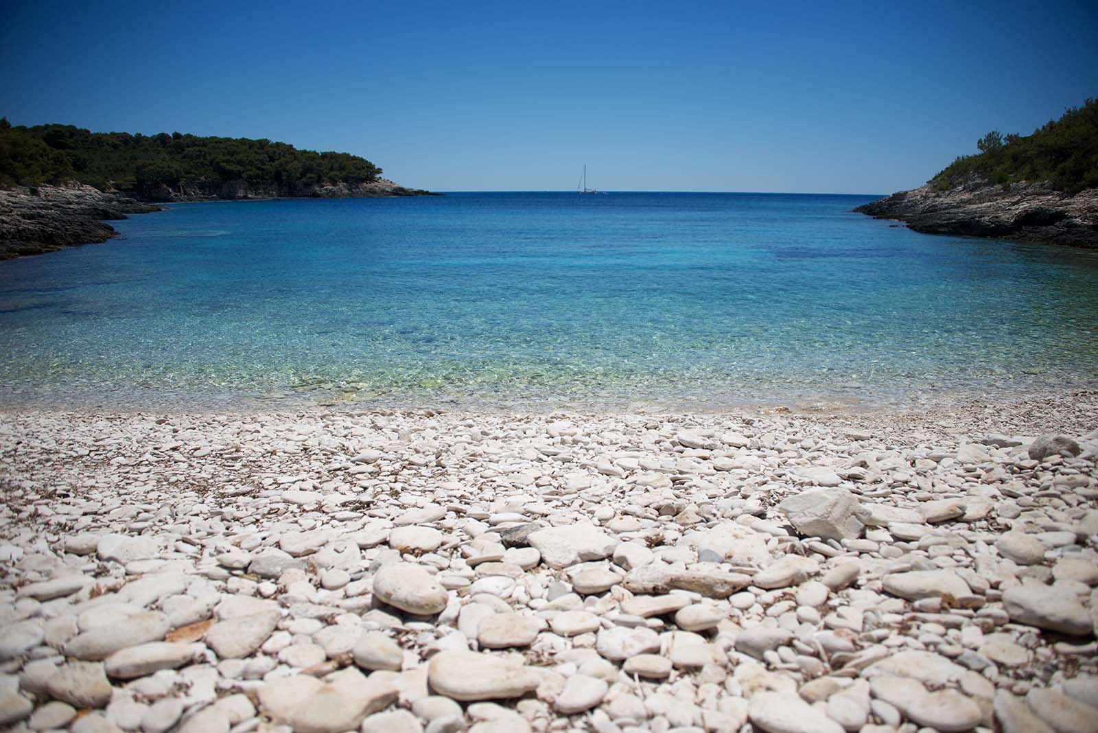 Beach Vis