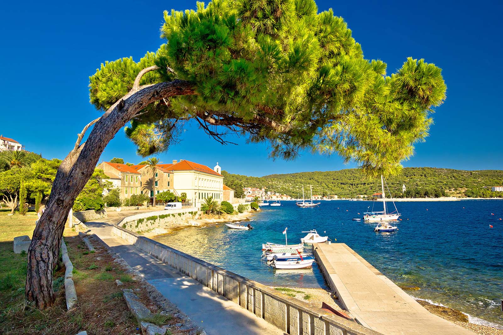 Vis excursions trips